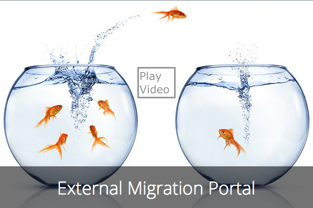 Email Migration Portal goldfish-1