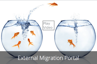 Email Migration Portal goldfish