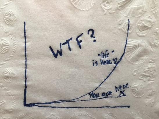 WTF_graph_of_life inked on paper napkin