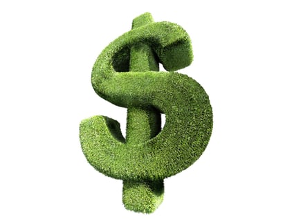 dollar_sign_hedge_copy_rx