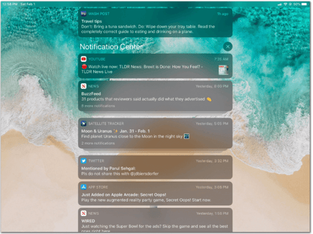 Screen Shot 2020-02-16 at 11.01.03 AM