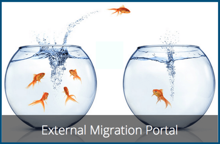 email mig goldfish fish bowl