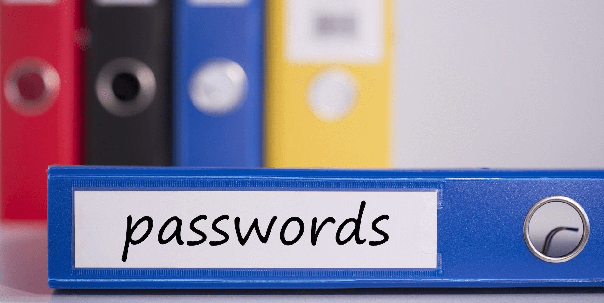 colorful binder spines with one marked "passwords" for use as a password manager