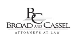 broad and cassel cyber security law